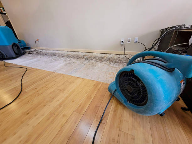 Professional Water Damage Repair technician working in Wolfforth, TX